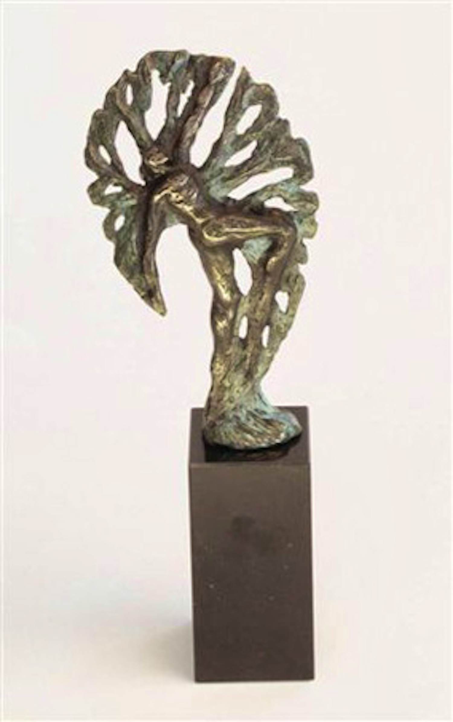 Ger van Tankeren - Sculptuur EVOLUTION kopen? Bied vanaf 110!