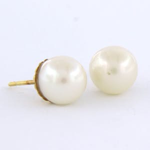 18k geel gouden oorknoppen bezet met parel - 8,0 mm breed kopen? Bied vanaf 1!