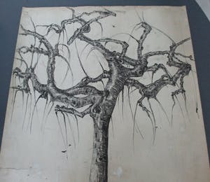 Frits van der Zander - Boomstudie kopen? Bied vanaf 15!