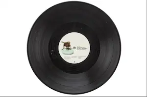 Damien Hirst - Gesigneerde albumhoes Red Hot Chili Peppers door Damien Hirst kopen? Bied vanaf 1200!