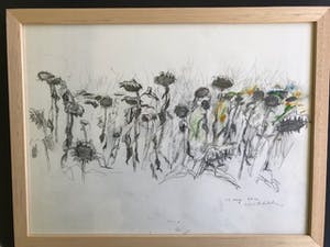 Peter Blokhuis - Diverse kopen? Bied vanaf 300!