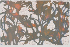 Judith ten Bosch - 163 losse litho's + 1 ingelijst exemplaar, Groei kopen? Bied vanaf 1!