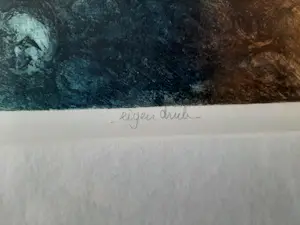 Ton Diekstra - kleurenets-Rome I kopen? Bied vanaf 40!