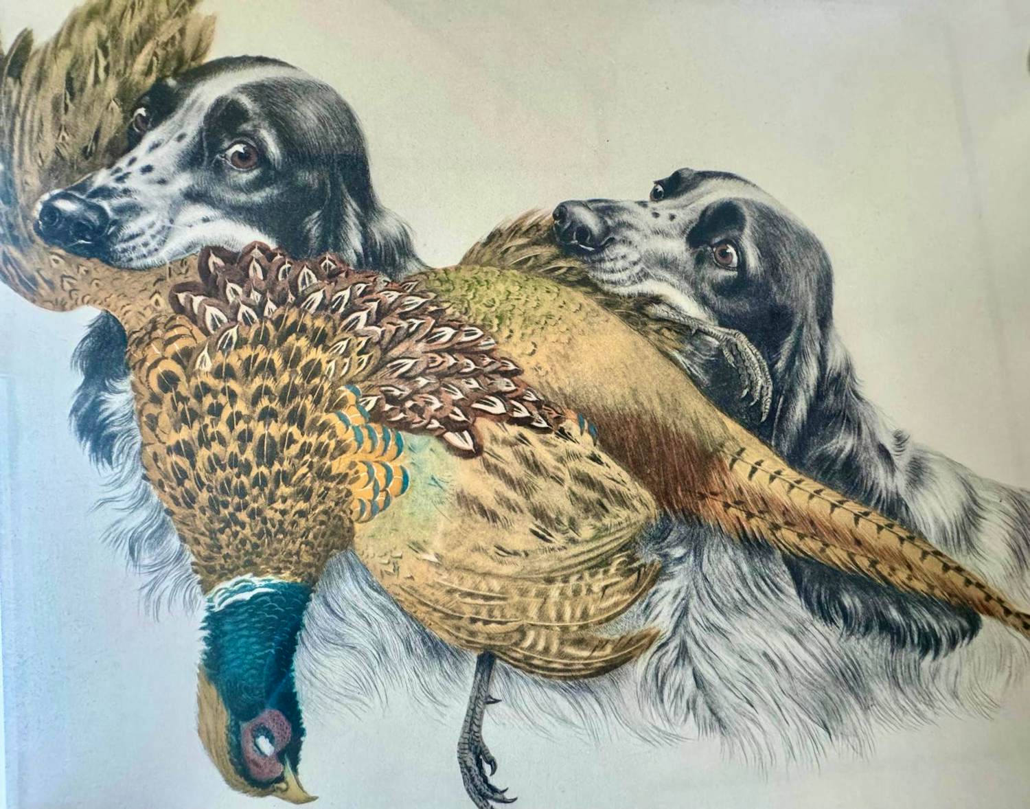 Leon Danchin - Twee Cocker Spaniels met fazant (Deux cocker et fazant) kopen? Bied vanaf 75!