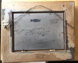 Henk Poeder - Kitten met muisjes kopen? Bied vanaf 89!