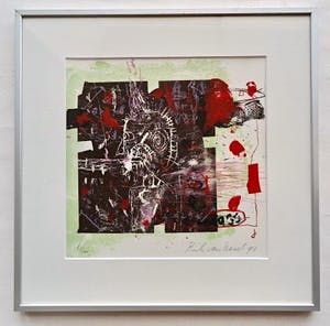 Rik van Iersel - Litho in lijst en Boek "Between seeing and saying" - Nieuwstaat kopen? Bied vanaf 33!