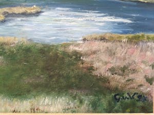 Niet of onleesbaar gesigneerd - 2x landschap Terschelling | 2x olieverf schilderijen (ingelijst) kopen? Bied vanaf 1!