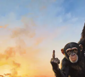 Mr Strange - Fuck you (II) kopen? Bied vanaf 80!