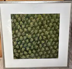 Karel J.A. Tomei - Boomkruinen in Herfst 1/30 kopen? Bied vanaf 75!