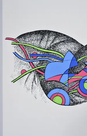 Buy Paul Van Hoeydonck - zeefdruk, gesigneerd, 70x50 cm, 1975? Bid from 135!