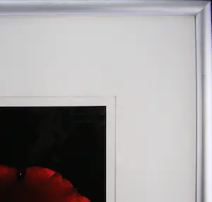 Bert Houweling - Roos 43 kopen? Bied vanaf 15!