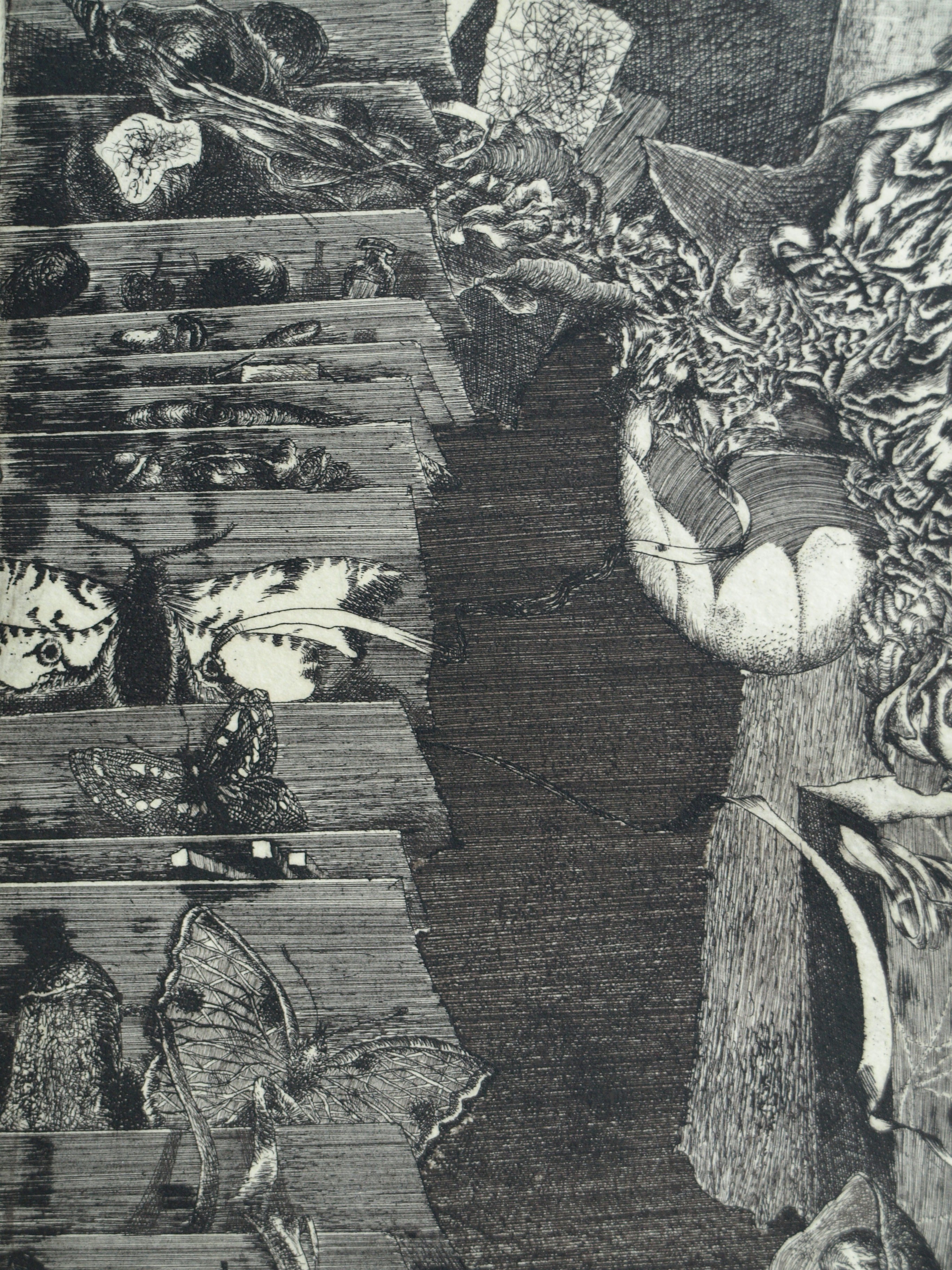 Karol Ondreicka - GROTE ets, “Moeder Aarde” – gesigneerd – 1983 – oplage 13 / 50 kopen? Bied vanaf 40!