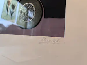 Elisabeth Leeuwesteijn - "Avondje uit" kopen? Bied vanaf 50!