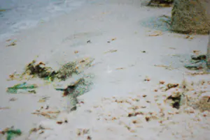 Wolfgang Tillmans - Sandcastle 2000 kopen? Bied vanaf 295!