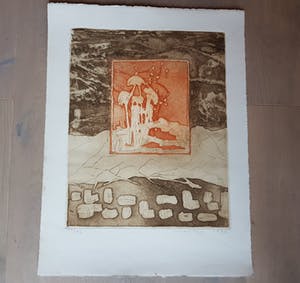 Jan Montyn - kleurenets 59/90, gesigneerd en gedateerd 1997 kopen? Bied vanaf 1!