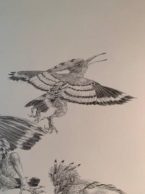 Peter Vos - Tereus kopen? Bied vanaf 15!