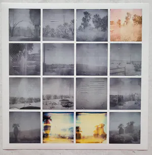 Stefanie Schneider - OASIS (Sidewinder), signiert und 1/25 nummeriert kopen? Bied vanaf 380!