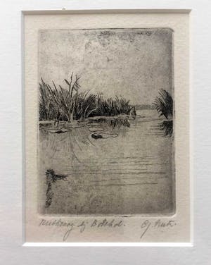 Gerard Lutz - Rietkraag bij Botshol - Ets, Ingelijst kopen? Bied vanaf 35!