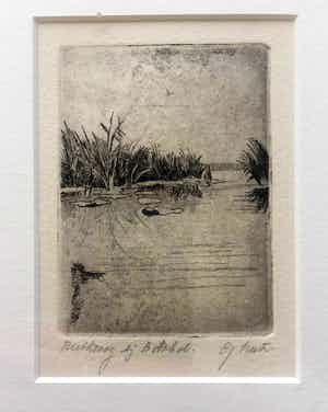 Gerard Lutz - Rietkraag bij Botshol - Ets, Ingelijst verkocht voor € 35!