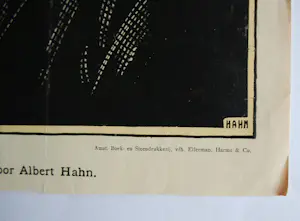 Albert Hahn - Johan Braakensiek, ingelijste litho & extra prent door Louis Raemakers kopen? Bied vanaf 75!