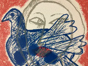 Corneille - Regard sur l'oiseau kopen? Bied vanaf 160!