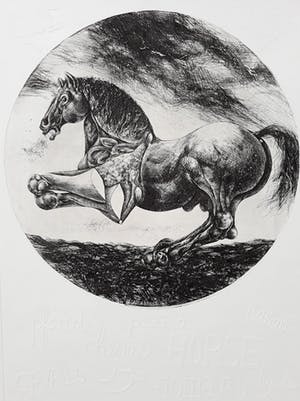 Willem Snitker - Paard, ets met reliëfdruk kopen? Bied vanaf 50!
