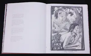 Nico Vrielink - Casette, Op de brug naar de tempel (met gedichten van Marion Bloem) kopen? Bied vanaf 20!