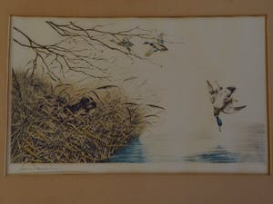 Leon Danchin - Jachttafereel kopen? Bied vanaf 45!