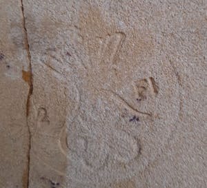 Curiosa - Ceramic tiles collection antique 13 stuks kopen? Bied vanaf 1!