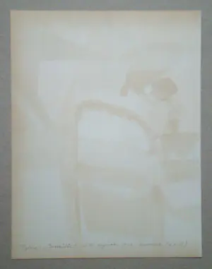 Maurice Esteve - Bossaille - Originele lithografie - 1974 kopen? Bied vanaf 70!