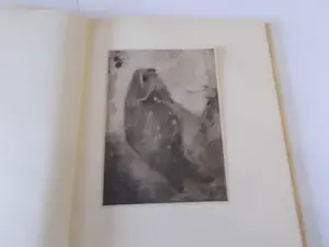 Jan Mankes - door A.Mankes-Zernike genummerde luxe uitgave kopen? Bied vanaf 375!
