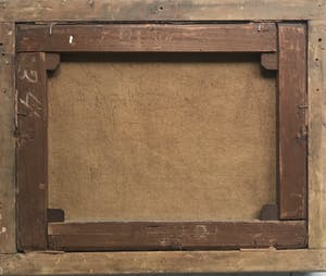 Albertus Verhoesen - prachtige Pauw kippen en haan kopen? Bied vanaf 2750!