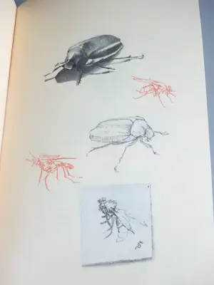 Ton de Laat - Klein Breviarium der ongewervelde dieren- genummerd, gesigneerd+ets kopen? Bied vanaf 75!