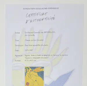 Corneille - Pièce Unique Oiseau couleur de soleil - Met de hand geaquarelleerde ets - 1979 kopen? Bied vanaf 1600!