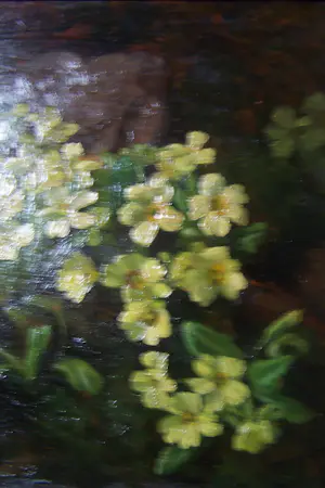 Ad Blok van der Velden - Stengelloze sleutelbloemen Texel kopen? Bied vanaf 300!