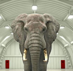 Mr. Strange - LE DERNIER ELEPHANT kopen? Bied vanaf 50!