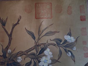 Niet of onleesbaar gesigneerd - Japanse of Chinese scroll, “Vogel op tak” - Aquarelverf en inkt op papier kopen? Bied vanaf 1!