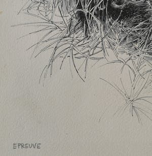 Patrick Creyghton - Landschap met bomen kopen? Bied vanaf 65!