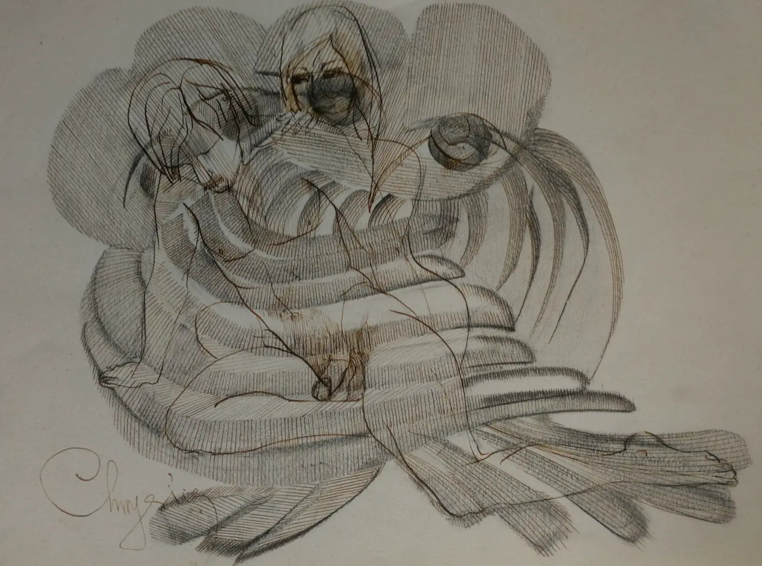 Chrysiis (1938)
