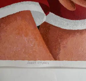 Yvonne Zomerdijk - Zeefdruk 40/40 Sweet cherry kopen? Bied vanaf 20!