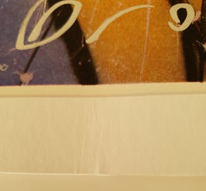 Herman Brood - Douche - gesingeerd - 300 ex. kopen? Bied vanaf 1!