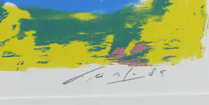 John Lie a Fo - Zeefdruk, Kind met zwaan - Ingelijst kopen? Bied vanaf 50!