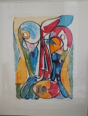 Anton Vrede - Papegaaien met gezicht kopen? Bied vanaf 50!