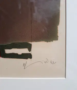 Richard Lindner - Power woman, litho (netjes ingelijst) kopen? Bied vanaf 295!