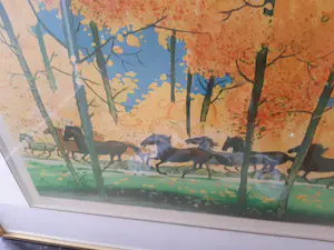 Amadeu Casals - Paarden kopen? Bied vanaf 100!