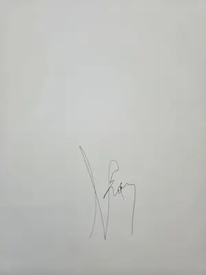 Koen Vanmechelen - Fighter kopen? Bied vanaf 845!