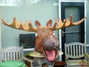 Grote Elandenkop verkocht voor € 99!