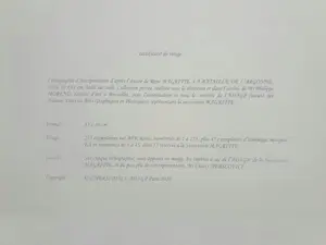 Rene Magritte - La bataille de l'Argonne kopen? Bied vanaf 440!