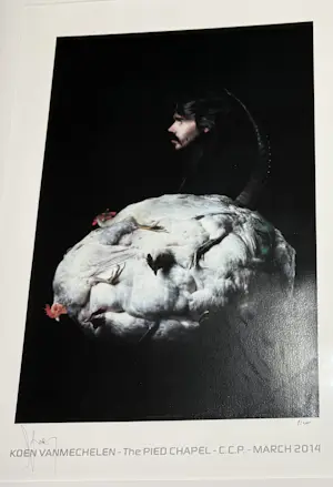 Koen Vanmechelen - Offset Koen Vanmechelen kopen? Bied vanaf 575!