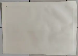 Cornelis Brandenburg - Tulpenvelden, Holland kopen? Bied vanaf 160!